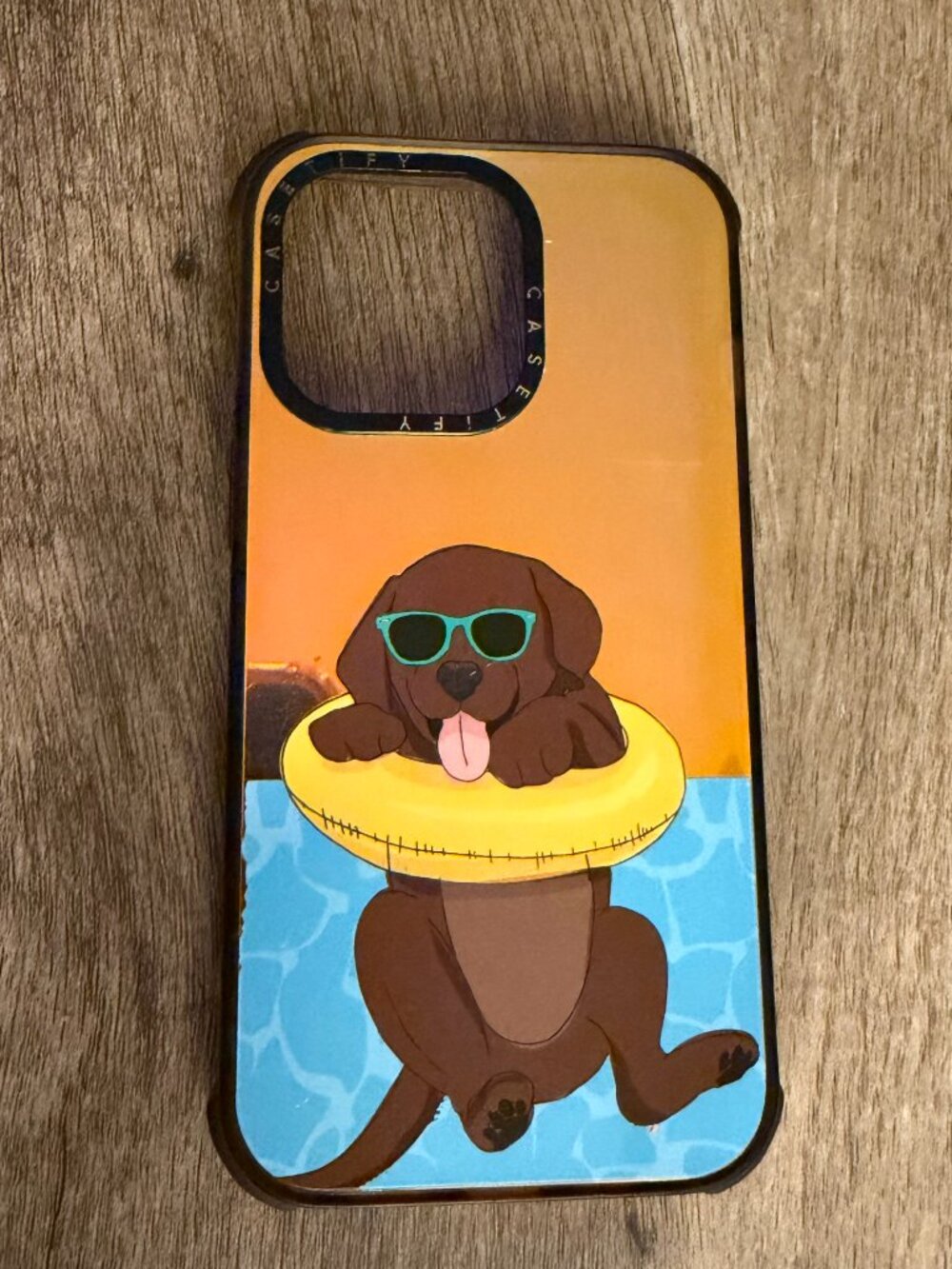 Casetify IPhone 13 Pro-Swimming Black Labrador
